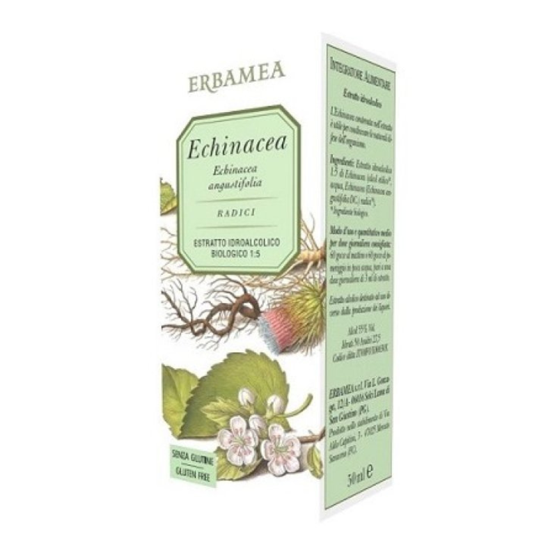 Echinacea 50ml
